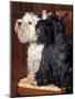 Domestic Dogs, West Highland Terrier / Westie Sitting on a Chair with a Black Scottish Terrier-Adriano Bacchella-Mounted Premium Photographic Print