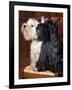 Domestic Dogs, West Highland Terrier / Westie Sitting on a Chair with a Black Scottish Terrier-Adriano Bacchella-Framed Photographic Print