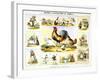 Domestic Fowl, C1850-Benjamin Waterhouse Hawkins-Framed Giclee Print