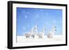 Domestic Geese in Snow-null-Framed Photographic Print