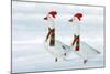 Domestic Geese Two in Snow Wearing Christmas-null-Mounted Photographic Print