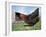 Domestic Hen Free Range, Scotland, UK-Pete Cairns-Framed Photographic Print