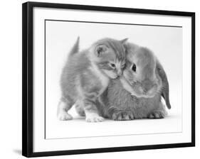 Domestic Kitten (Felis Catus) Next to Bunny, Domestic Rabbit-Jane Burton-Framed Photographic Print