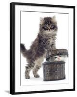 Domestic Kitten (Felis Catus) on Basket with Another Kitten Inside It-Jane Burton-Framed Photographic Print