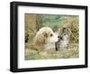 Domestic Kitten (Felis Catus) with Puppy (Canis Familiaris) in Hay-Jane Burton-Framed Premium Photographic Print