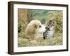 Domestic Kitten (Felis Catus) with Puppy (Canis Familiaris) in Hay-Jane Burton-Framed Premium Photographic Print