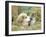 Domestic Kitten (Felis Catus) with Puppy (Canis Familiaris) in Hay-Jane Burton-Framed Premium Photographic Print