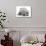 Domestic Labrador Puppy (Canis Familiaris) Sleeping-Jane Burton-Photographic Print displayed on a wall