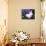Domestic New Zealand Rabbit, Amongst Hydrangea, USA-Lynn M^ Stone-Photographic Print displayed on a wall