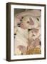 Domestic Pig, Gloucester Old Spot piglets, sleeping, close-up of heads-John Eveson-Framed Photographic Print