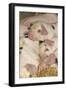 Domestic Pig, Gloucester Old Spot piglets, sleeping, close-up of heads-John Eveson-Framed Photographic Print