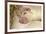 Domestic Pig, Gloucester Old Spot, piglets, sleeping-John Eveson-Framed Photographic Print