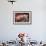 Domestic Pig, Middle White piglets, standing under heat lamp, England-John Eveson-Framed Photographic Print displayed on a wall