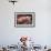 Domestic Pig, Middle White piglets, standing under heat lamp, England-John Eveson-Framed Photographic Print displayed on a wall