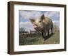 Domestic Pig (Mixed Breed) USA-Lynn M^ Stone-Framed Premium Photographic Print