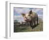 Domestic Pig (Mixed Breed) USA-Lynn M^ Stone-Framed Premium Photographic Print
