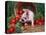 Domestic Piglet, Amongst Vegetables, USA-Lynn M. Stone-Stretched Canvas