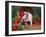 Domestic Piglet, Amongst Vegetables, USA-Lynn M. Stone-Framed Premium Photographic Print