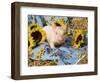 Domestic Piglet and Sunflowers, USA-Lynn M. Stone-Framed Premium Photographic Print