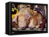 Domestic Piglets Sleeping, USA-Lynn M. Stone-Framed Stretched Canvas