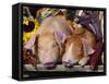 Domestic Piglets Sleeping, USA-Lynn M. Stone-Framed Stretched Canvas