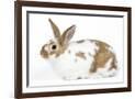 Gramercy Espresso