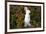 Domestic Rabbit- New Zealand Breed-Lynn M^ Stone-Framed Photographic Print