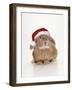 Domestic Rabbit Wearing Christmas Hat-Andy and Clare Teare-Framed Photographic Print