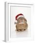 Domestic Rabbit Wearing Christmas Hat-Andy and Clare Teare-Framed Photographic Print