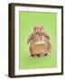 Domestic Rabbit Wearing Straw Hat with Daisies-Andy and Clare Teare-Framed Photographic Print