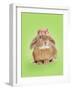 Domestic Rabbit Wearing Straw Hat with Daisies-Andy and Clare Teare-Framed Photographic Print