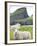 Domestic Sheep, Fair Isle, Shetland Islands, Scotland, United Kingdom, Europe-Andrew Stewart-Framed Photographic Print