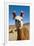 Domesticated Llama, Argentina-null-Framed Photographic Print