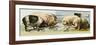 Domesticated Pigs-null-Framed Giclee Print