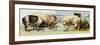 Domesticated Pigs-null-Framed Premium Giclee Print