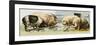 Domesticated Pigs-null-Framed Premium Giclee Print