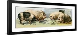 Domesticated Pigs-null-Framed Premium Giclee Print