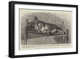 Domestication Makes Strange Bedfellows-null-Framed Giclee Print