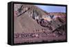 Domeyko Mountains, Called Rainbow Valley, Atacama Desert, Chile-Mallorie Ostrowitz-Framed Stretched Canvas