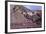 Domeyko Mountains, Called Rainbow Valley, Atacama Desert, Chile-Mallorie Ostrowitz-Framed Photographic Print