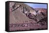 Domeyko Mountains, Called Rainbow Valley, Atacama Desert, Chile-Mallorie Ostrowitz-Framed Stretched Canvas