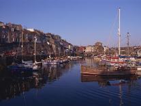 Mevagissey, Cornwall, England, United Kingdom, Europe-Dominic Harcourt-webster-Photographic Print