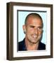 Dominic Purcell-null-Framed Photo