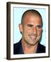 Dominic Purcell-null-Framed Photo