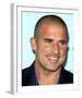 Dominic Purcell-null-Framed Photo