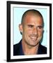 Dominic Purcell-null-Framed Photo