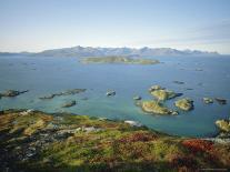 Autumnal Bloom, Senja Vewied from Sommeroy (Summer Isle), Near Tromso, Norway, Scandinavia-Dominic Webster-Photographic Print