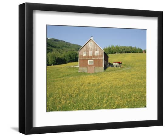 Premium Photographic Print, , large