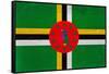 Dominica Flag Design with Wood Patterning - Flags of the World Series-Philippe Hugonnard-Framed Stretched Canvas