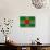 Dominica Flag Design with Wood Patterning - Flags of the World Series-Philippe Hugonnard-Stretched Canvas displayed on a wall